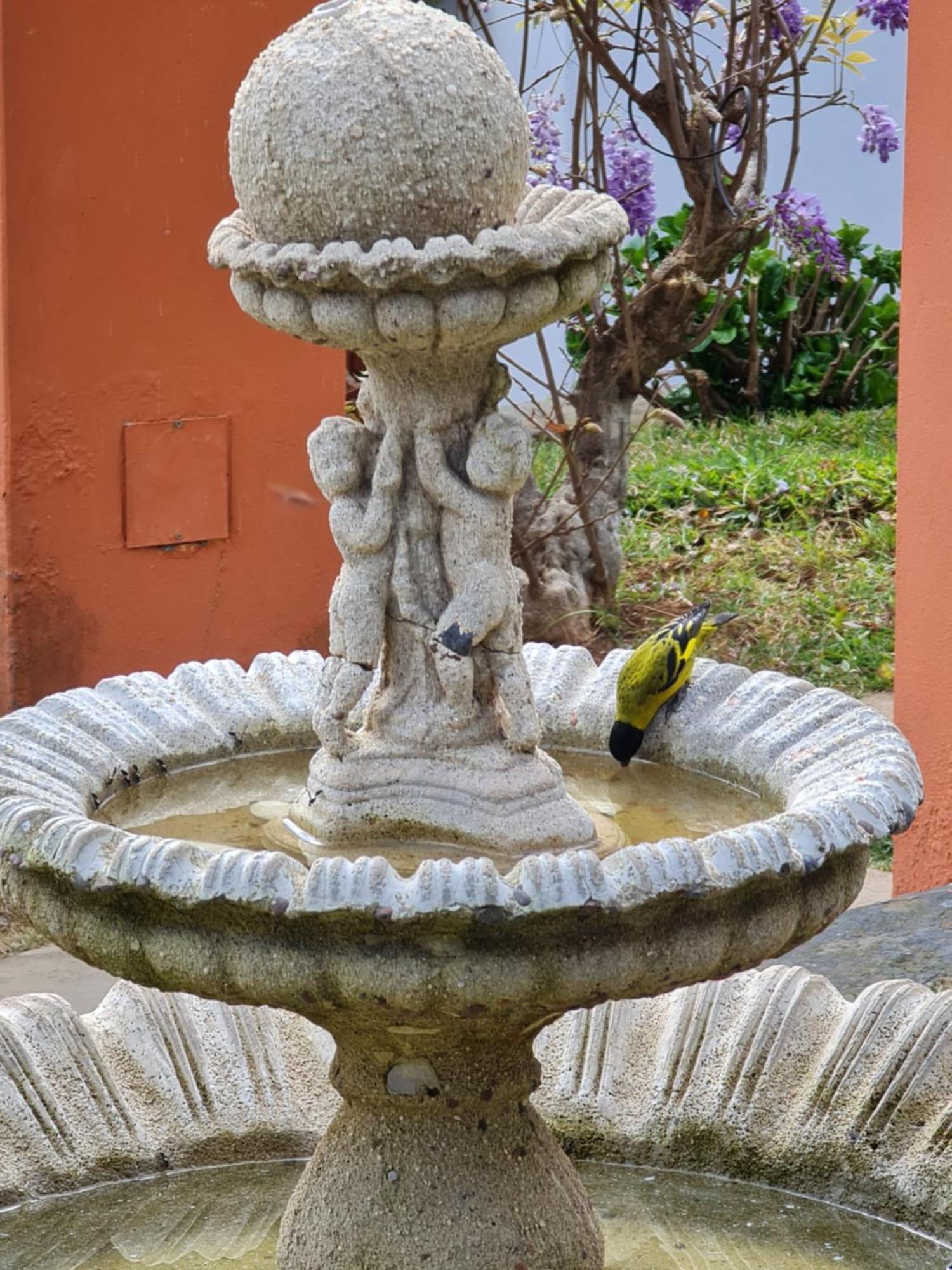 Chales Valle Florido Monte Verde  Buitenkant foto